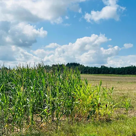 Odpoczynek Na Wsi 코사코프