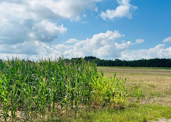 Odpoczynek Na Wsi 코사코프